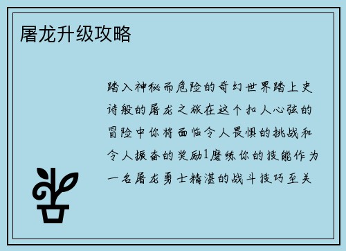 屠龙升级攻略